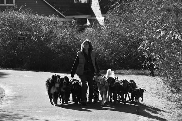 10 astuces pour assurer le bien-être de votre chat